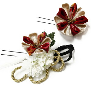  l U  2_Zbg VpS[h l  񂴂  Ǝ tH[}  ԏ ܂ݍ׍H { ߂ uC_ W30  901/710 293-275 n720@WSi