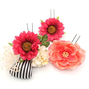  l U   3_Zbg sN {  w   Ǝ ܎O 753 uC_ OB a {  񂴂 lC tH[} ԏ  a [Y 