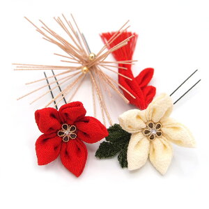  3_Zbg   ܂ݍ׍H t l  a   U  hX ܎O q LbY  Ǝ w  wAANZT[  {  AJ W 36 323-225 u920