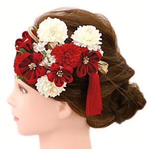  l U  Ǝ   2_Zbg    a m 񂴂   ܂ݍ׍H ߂tH[} ԏ ʏ uC_ W 68 304-247   o821@Si