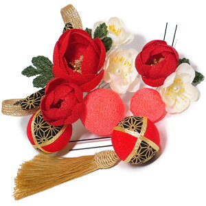 yyVX[p[Sale 20%offz l U  3_Zbg   l  񂴂  Ǝ tH[}  ԏ ʏ ߂ uC_ W  W68 304-369 t721@Si