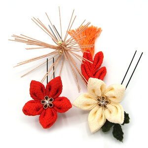  3_Zbg F  ܂ݍ׍H t l  a   U  hX ܎O q LbY  Ǝ w wAANZT[  {  IW W 36 323-225 u