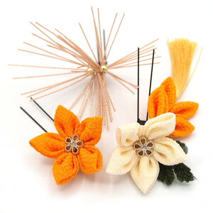  3_Zbg F  ܂ݍ׍H t l  a   U  hX ܎O q LbY  Ǝ w wAANZT[  {  JV W 36 323-225 u922