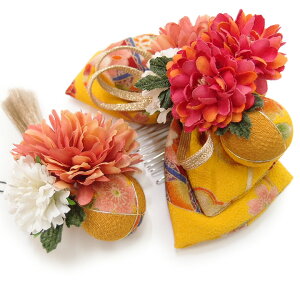  l U  2_Zbg F l  񂴂  Ǝ tH[}  ԏ ܂ݍ׍H { ߂ uC_ W  304-337 F m823@WSi