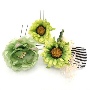  l U   3_Zbg  {  w   Ǝ ܎O 753 uC_ OB a {  񂴂 lC tH[} ԏ   O[ W 28 323-