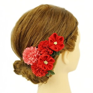  l U  3_Zbg   l 񂴂  Ǝ tH[}  ԏ ܂ݍ׍H ߂  W28 W308-203   o724@WSi