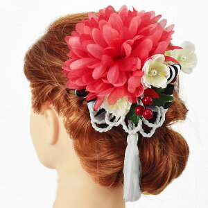  l U  Ǝ   2_Zbg    a m 񂴂   ܂ݍ׍H ߂tH[} ԏ ʏ uC_ W58 304-348   r725@Si