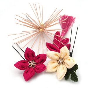  3_Zbg sN  ܂ݍ׍H t l  a   U  hX ܎O q LbY  Ǝ w wAANZT[  {  [Y W 36 323-225 u