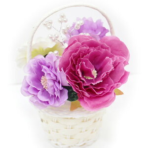  l U  5_Zbg Ԏ   l  񂴂  Ǝ tH[}  ԏ uC_ p[  W38 W303-285  Ԏ  n826@WSi