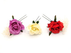  l U   3_Zbg    w   Ǝ ܎O 753 uC_ OB a { 񂴂 tH[}  ԏ o KN  AJ×TL W 28