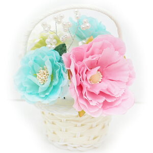  l U  5_Zbg sN F  l  񂴂  Ǝ tH[}  ԏ uC_ p[  W38 W303-285  sN F n827@WSi