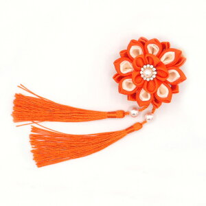  F ܂ݍ׍H p[r[Y l Ǝ ̎q q LbY wAs Nbv   Ղ ЂȍՂ a   ܎O  wAANZT[  { I