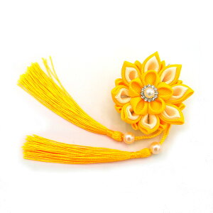  F ܂ݍ׍H p[r[Y l Ǝ ̎q q LbY wAs Nbv   Ղ ЂȍՂ a   ܎O  wAANZT[  { J