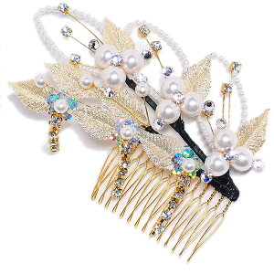  R[ 񂴂  U l wbhhX LL h  p[  { EGfBO  a m   K⒅  p[eB tH[}  17445 t829@Si