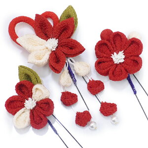  l U  3_Zbg  ۉF  l  񂴂  Ǝ tH[}  ԏ ܂ݍ׍H ߂  W38 W5701   ۉF n831@WSi