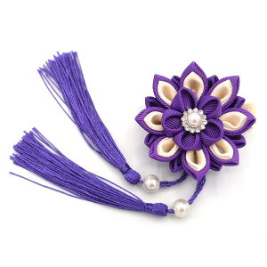   ܂ݍ׍H p[r[Y l Ǝ ̎q q LbY wAs Nbv   Ղ ЂȍՂ  a   ܎O  wAANZT[  { 