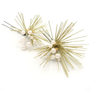  l U   2_Zbg   w   Ǝ ܎O 753 uC_ OB a {  񂴂 tH[}  ԏ t lC  O[ W 28 323-227