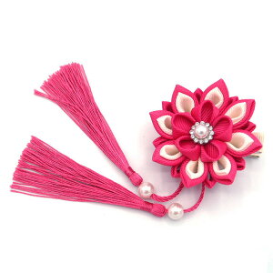  sN ܂ݍ׍H p[r[Y l Ǝ ̎q q LbY wAs Nbv   Ղ ЂȍՂ    ܎O a wAANZT[  { 