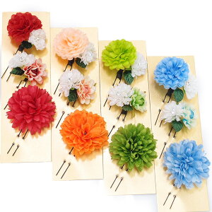  l U  3_Zbg S4F l  񂴂  Ǝ tH[}  ԏ  W28 W303-290  n834@WSi