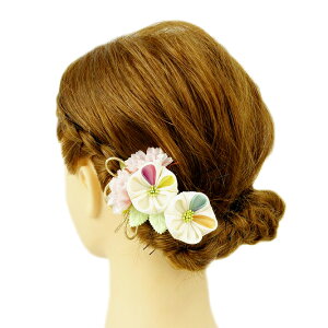  l U  2_Zbg  sN pXe l  񂴂  Ǝ tH[}  ԏ ܂ݍ׍H ߂  W28 W293-330   F n934@WSi