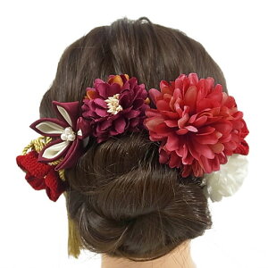   l U  6_Zbg  b  l 񂴂  Ǝ tH[}  ԏ ܂ݍ׍H { ߂ uC_ W43  303-231  o735@WSi