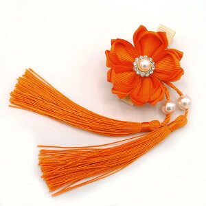  F ܂ݍ׍H p[r[Y l Ǝ q LbY ̎q wAs Nbv   ߋ ЂȍՂ  a  ܎O   wAANZT[  { I