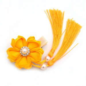  F ܂ݍ׍H p[r[Y l Ǝ q LbY ̎q wAs Nbv   ߋ ЂȍՂ  a  ܎O   wAANZT[  { J