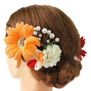  l U  Ǝ   5_Zbg     a m 񂴂   ܂ݍ׍H ߂tH[} ԏ ʏ uC_ W38 303-238   r738@Si