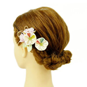  l U  2_Zbg  sN pXe l  񂴂  Ǝ tH[}  ԏ ܂ݍ׍H ߂  W28 W293-330   sN n939@WSi