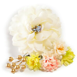  l U  6_Zbg    l  񂴂  Ǝ tH[}  ԏ  uC_   WW1 W408 #8526 r943 WSi