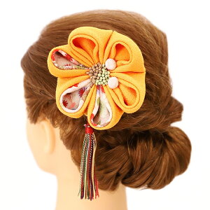 yyVX[p[Sale 20%offz l U  2_Zbg  l  񂴂  Ǝ tH[}  ԏ ʏ ܂ݍ׍H ߂  W58 304-310   o744@WSi