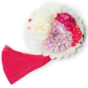  l U   sN l  񂴂  wANbv Ǝ tH[}  ԏ  [ uC_   WW6 W407 #8525 r944 Wsi