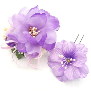  l U   2_Zbg   w   Ǝ ܎O 753 uC_ OB a {  񂴂 tH[}  ԏ o KN lC  TL W 30 