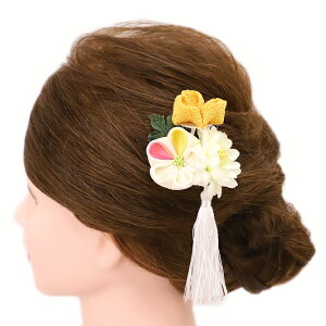  l U  Ǝ   3_Zbg   s  a m 񂴂   ܂ݍ׍H ߂tH[} ԏ ʏ uC_ W 3 303-241   p747@Si