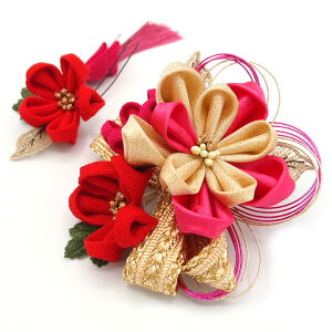  2_Zbg sN  ܂ݍ׍H { l  a   U  hX ܎O q  Ǝ w { 傫  wAR[ wAANZT[  