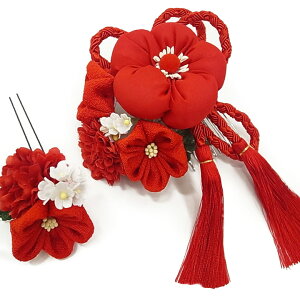  l U  2_Zbg  l  񂴂  Ǝ tH[}  ԏ ܂ݍ׍H { ߂ uC_ W63  304-269  n748@WSi