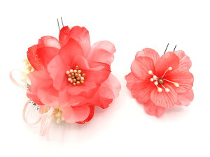  l U   2_Zbg   w   Ǝ ܎O 753 uC_ OB a {  񂴂 tH[}  ԏ o KN lC  AJ W 30 323-28