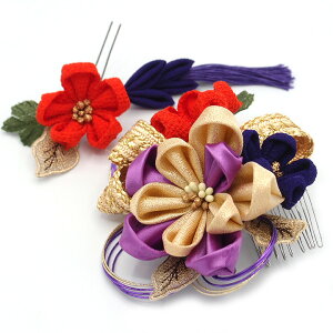  2_Zbg   ܂ݍ׍H { l  a   U  hX ܎O q  Ǝ w  wAANZT[ wAR[  { 傫 T