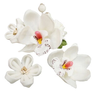  l U  3_Zbg  Ӓ l  񂴂  Ǝ tH[}  ԏ ܂ݍ׍H ߂ uC_ W  303-212  d749@WSi