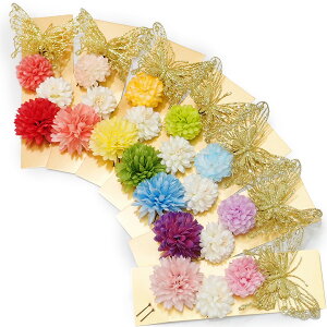  l U  4_Zbg S7F  l  񂴂  Ǝ tH[}  ԏ  W28 W303-224  n849@WSi