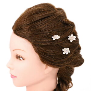  Us  񂴂  LL p[ CXg[  3_Zbg  K⒅ tH[}  a U l  Ǝ   Ӊ ܎Op[eB[ W15 02