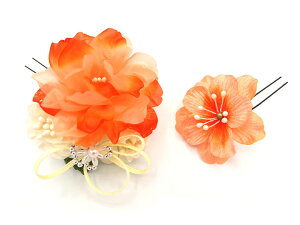  l U   2_Zbg IW  w   Ǝ ܎O 753 uC_ OB a {  񂴂  tH[} ԏ o KN  IW W 3