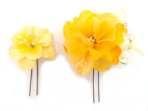  l U   2_Zbg F  w   Ǝ ܎O 753 uC_ OB a {  񂴂 ԏ tH[}  o KN  CG[ W 30 323-