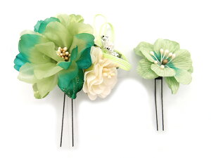  l U   2_Zbg   w   Ǝ ܎O 753 uC_ OB a {  񂴂 tH[}  ԏ o KN  lC O[ W 30 