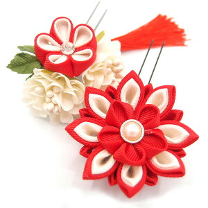  l U   2_Zbg  ܂ݍ׍H  w   Ǝ ܎O uC_ OB a {  񂴂  tH[} ԏ lC g  AJ W 30 323-