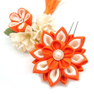  l U   2_Zbg F ܂ݍ׍H  w   Ǝ ܎O uC_ OB a {  񂴂  tH[} ԏ lC  IW W 30