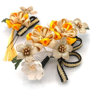  2_Zbg F  ܂ݍ׍H ~ l  a   U  hX ܎O q  Ǝ w wAR[ wAANZT[  傫 {  CG[ W