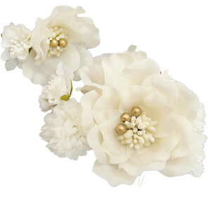 yyVX[p[Sale 20%offz l U  2_Zbg  l  񂴂  Ǝ tH[}  ԏ uC_ W  304-389 d755@WSi