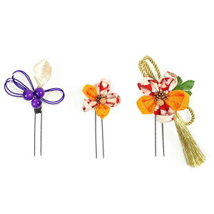  3_Zbg RF l  ܂ݍ׍H  a   ܎O Ǝ w wAANZT[  { a o^C NX}X CG[  W 30 323-259 u7