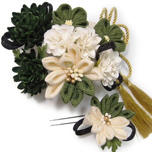  l U  2_Zbg   l  񂴂  Ǝ tH[}  ԏ ܂ݍ׍H { ߂ uC_ W70  304-315  m856@WSi